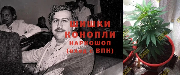 бошки Абаза