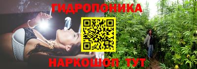 стафф Лесосибирск