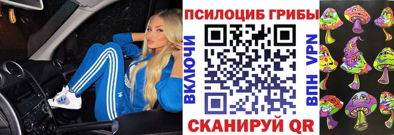 Псилоцибиновые грибы MAGIC MUSHROOMS  Кисловодск 